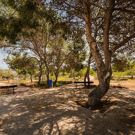 Apartament "Parque Mar" ラ・マタ エクステリア 写真