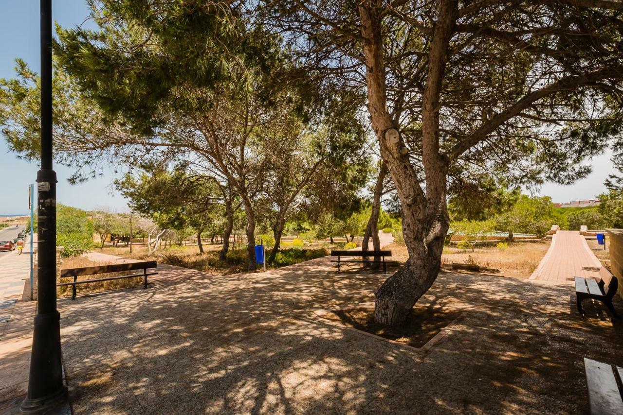 Apartament "Parque Mar" ラ・マタ エクステリア 写真