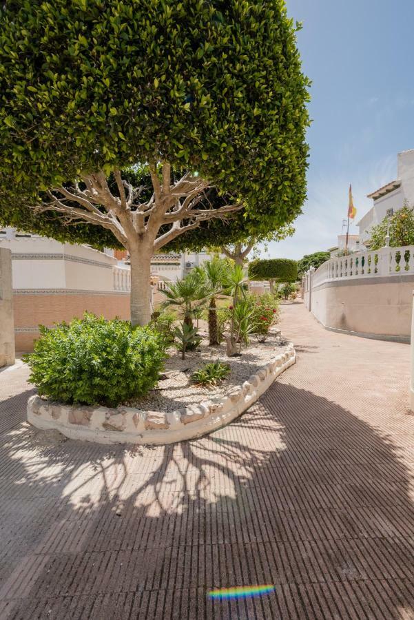 Apartament "Parque Mar" ラ・マタ エクステリア 写真